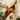 Labrador Clock With Wagging Tail - Fox Red