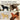 The Labrador clock in black, brown, yellow and fox red