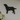 The Labrador clock on a kitchen wall, tail wagging
