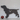 Spaniel Clock With Wagging Tail - Black